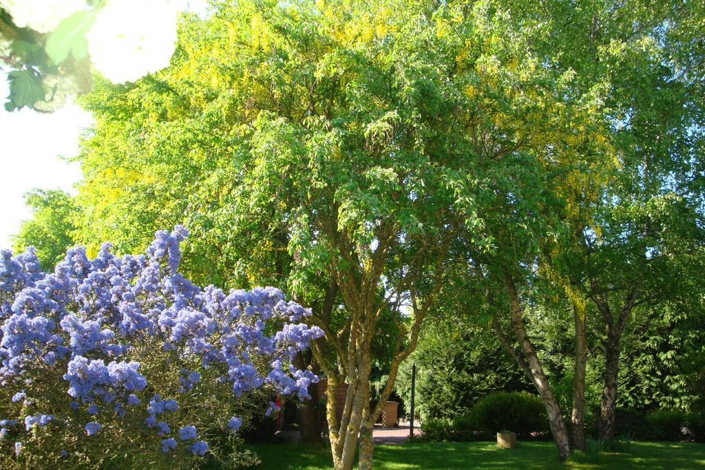 Au Jardin D'Eloise Bed & Breakfast Tremereuc Luaran gambar
